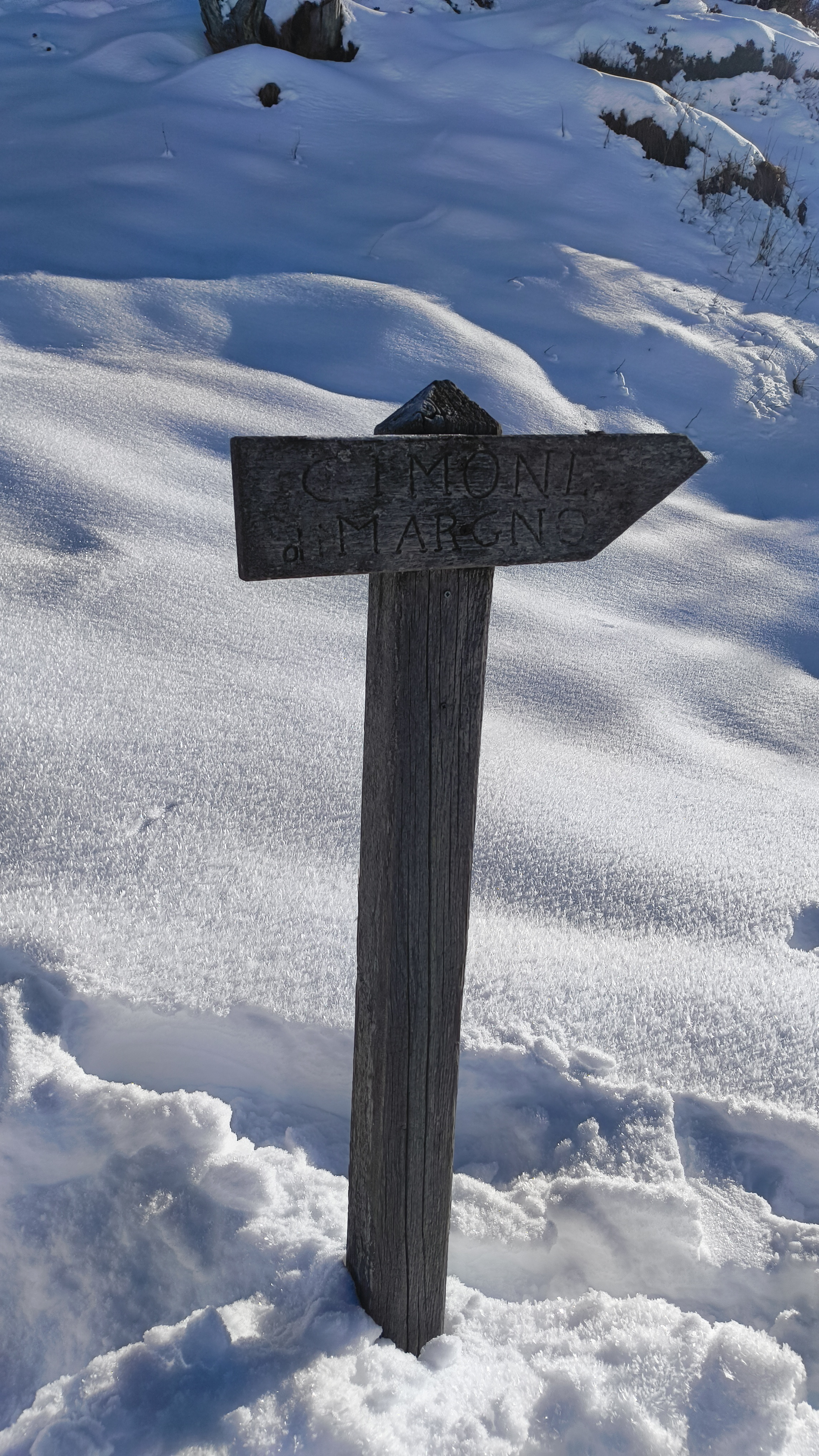 Foto n° 13 del trekking Cimone di Margno
